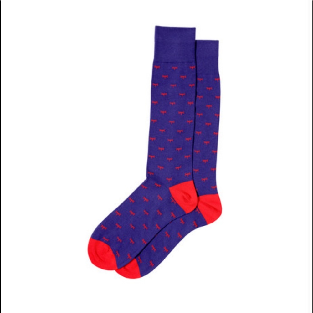 NWT SoxFords Men’s/Woman’s Socks “Libelle” Dragonflies
